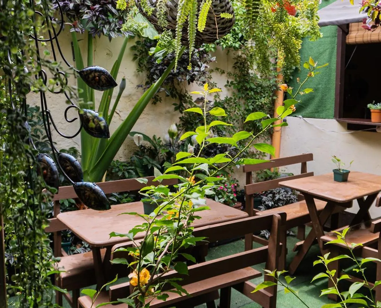 Casa 48 Ξενοδοχείο Antigua